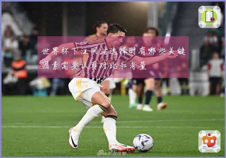 世界杯下注网站选择时有哪些关键因素需要认真对比和考量