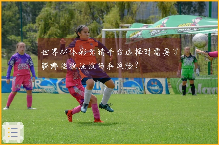 世界杯体彩竞猜平台选择时需要了解哪些投注技巧和风险？