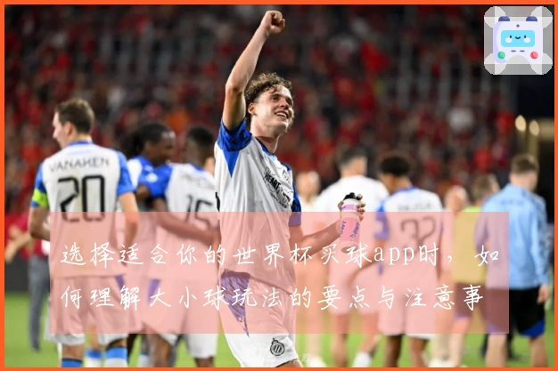 选择适合你的世界杯买球app时，如何理解大小球玩法的要点与注意事项