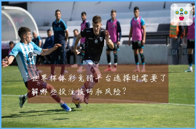 世界杯体彩竞猜平台选择时需要了解哪些投注技巧和风险？